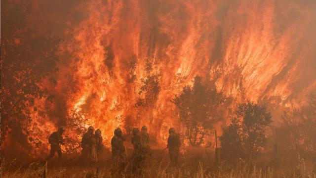 İspanya'da orman yangını: 250 kişi tahliye edildi