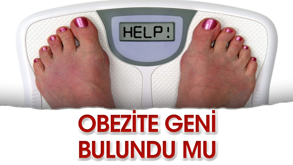 Obezite geni bulundu