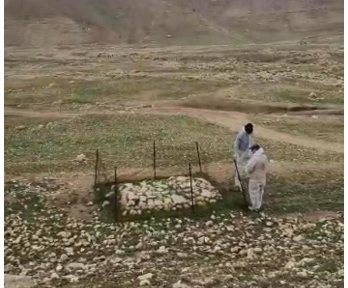 DEAŞ'ın öldürdüğü Yezidilerin toplu mezarı ortaya çıktı