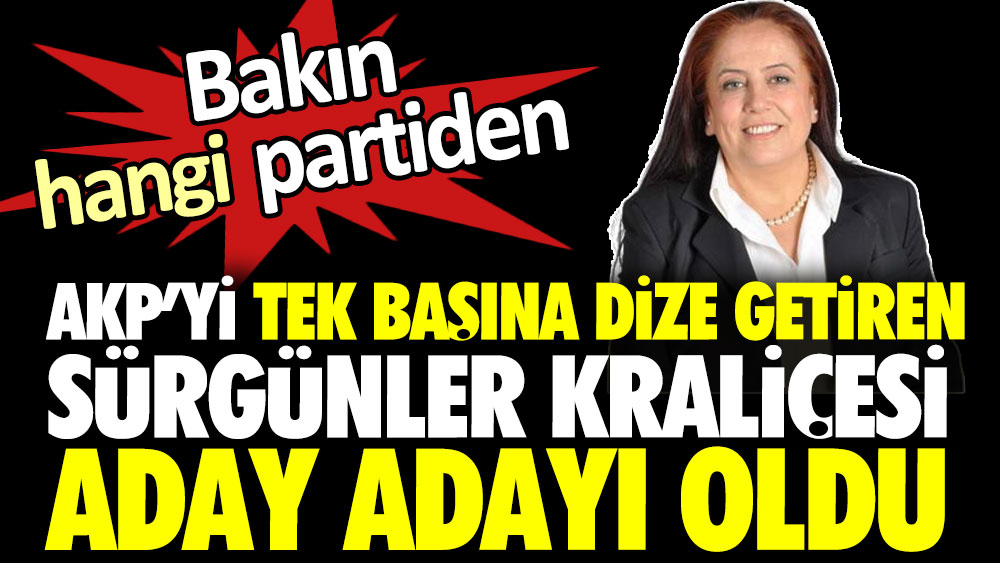 AKP'yi tek başına dize getiren sürgünler kraliçesi gazeteci Aysel Sadak İltaş aday adayı oldu. Bakın hangi partiden?