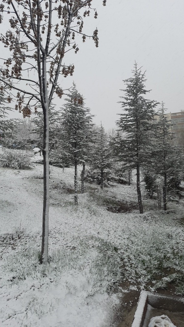 Ankara'da kar yağışı etkili olmaya başladı