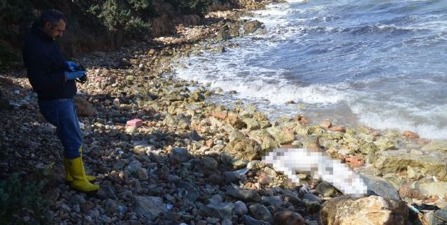 Didim'de denizde bir ceset daha bulundu
