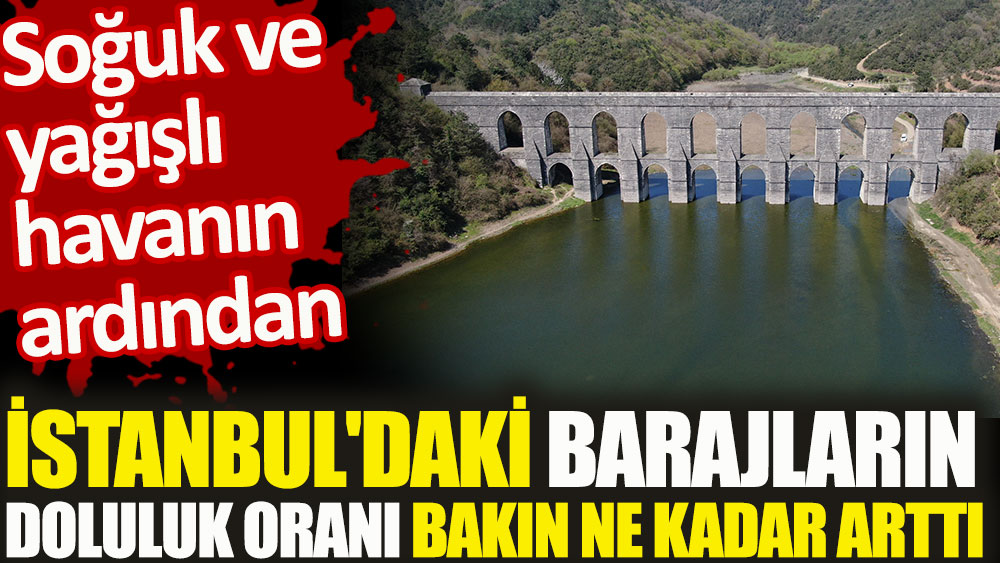Soğuk ve yağışlı havanın ardından. İstanbul'daki barajların doluluk oranı bakın ne kadar arttı