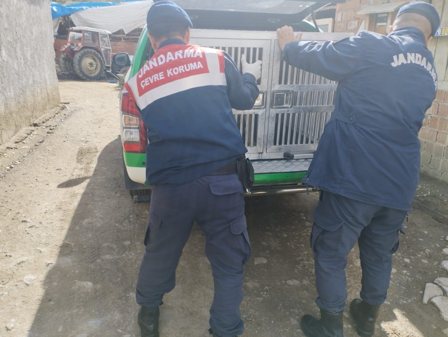 Tokat'ta yaralı köpek tedavi altına alındı