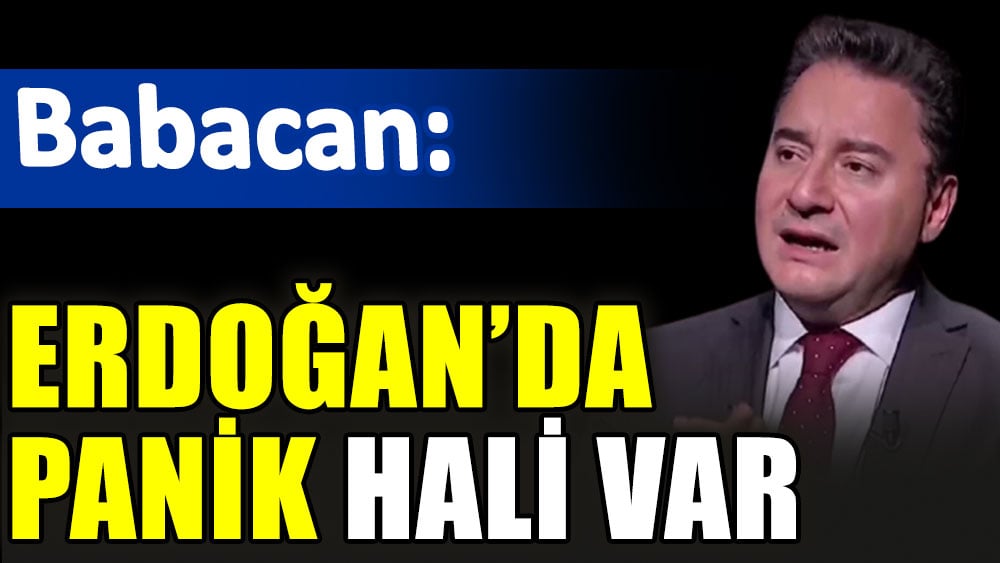 Babacan: Erdoğan'da panik hali var
