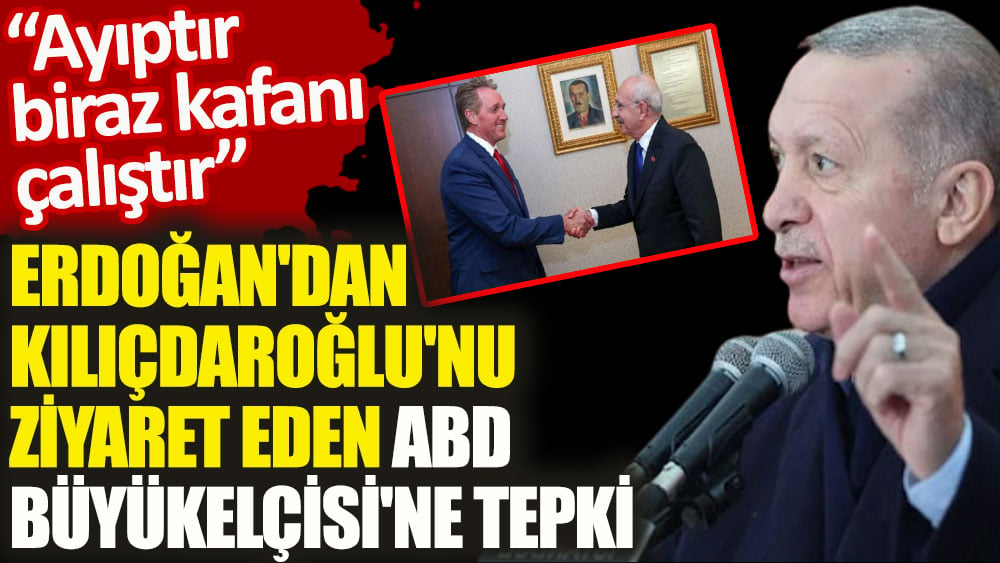 Erdoğan'dan Kılıçdaroğlu'nu ziyaret eden ABD Büyükelçisi'ne tepki. 'Ayıptır, biraz kafanı çalıştır'