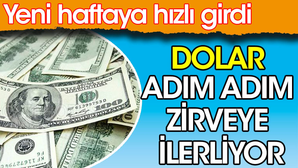 Dolar adım adım zirveye ilerliyor. Yeni haftaya hızlı girdi