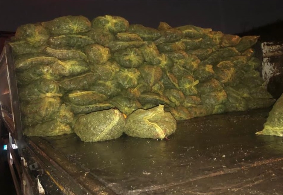 Kocaeli'de kaçak avlanan 10 ton midye ele geçirildi