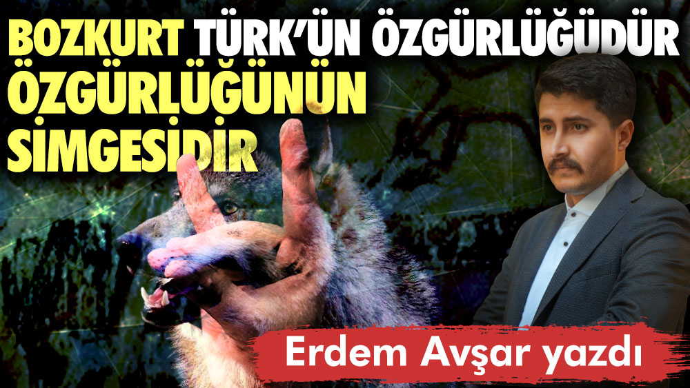 Bozkurt Türk’ün özgürlüğüdür, özgürlüğünün simgesidir