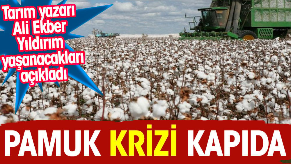 Pamuk krizi kapıda. Tarım Yazarı Ali Ekber Yıldırım yaşanacakları anlattı