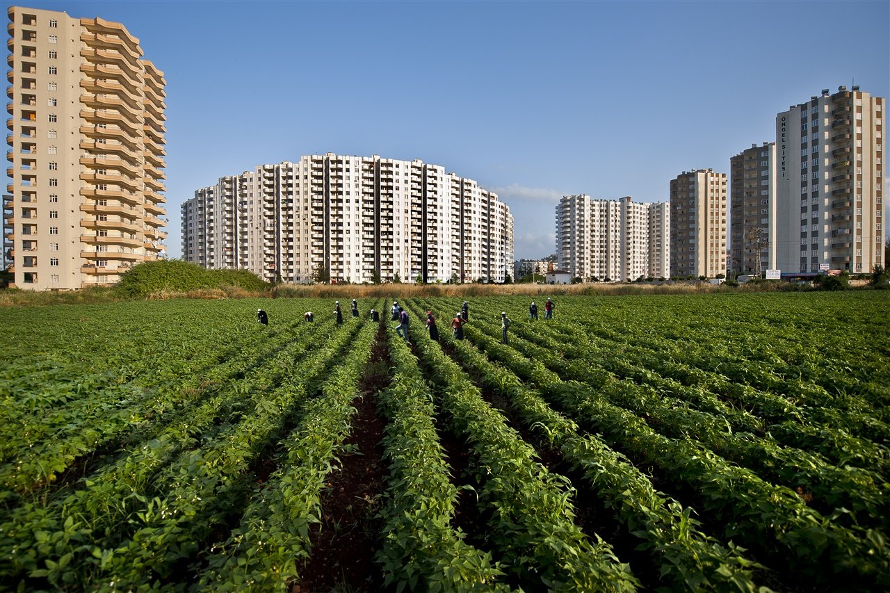 Tarım ve orman alanlarında yeni düzenleme