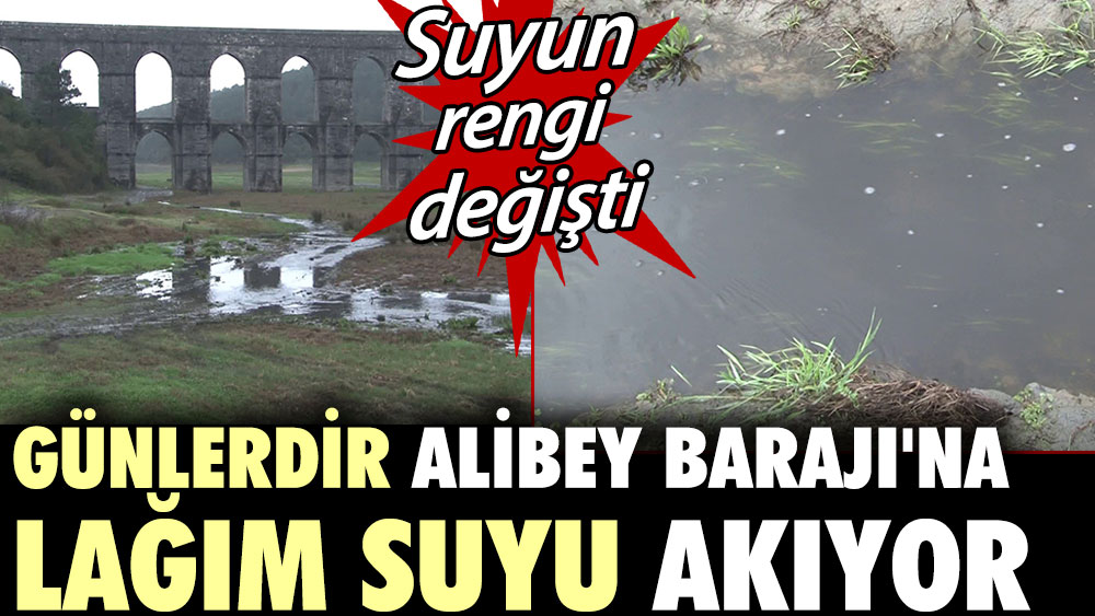 Günlerdir Alibey Barajı'na lağım suyu akıyor: Suyun rengi değişti