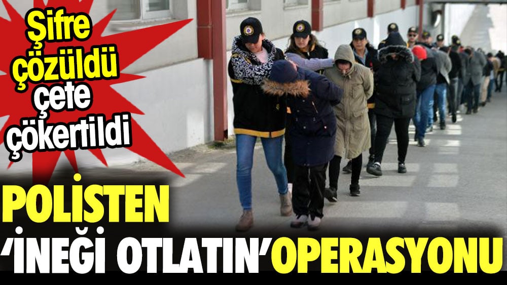 Polisten 'ineği otlatın' operasyonu. Şifre çözüldü çete çökertildi