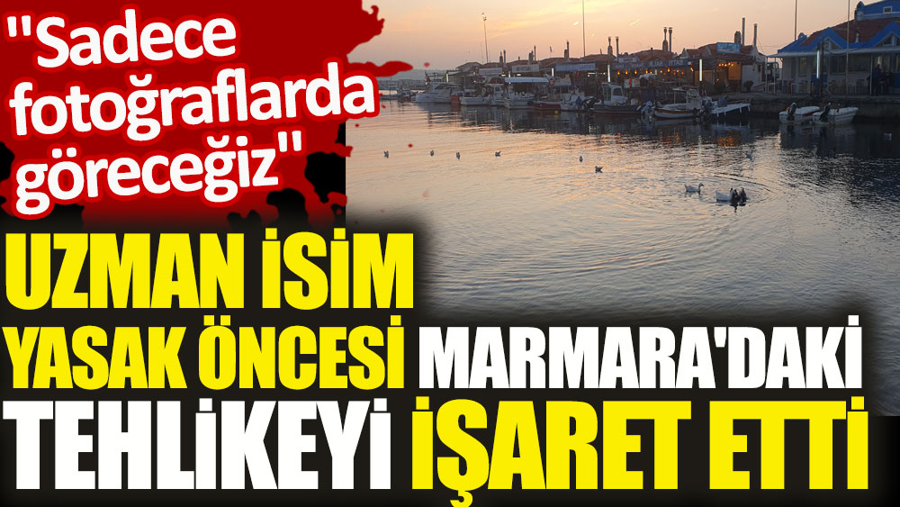 Uzman isim yasak öncesi Marmara'daki tehlikeyi işaret etti. Sadece fotoğraflarda göreceğiz