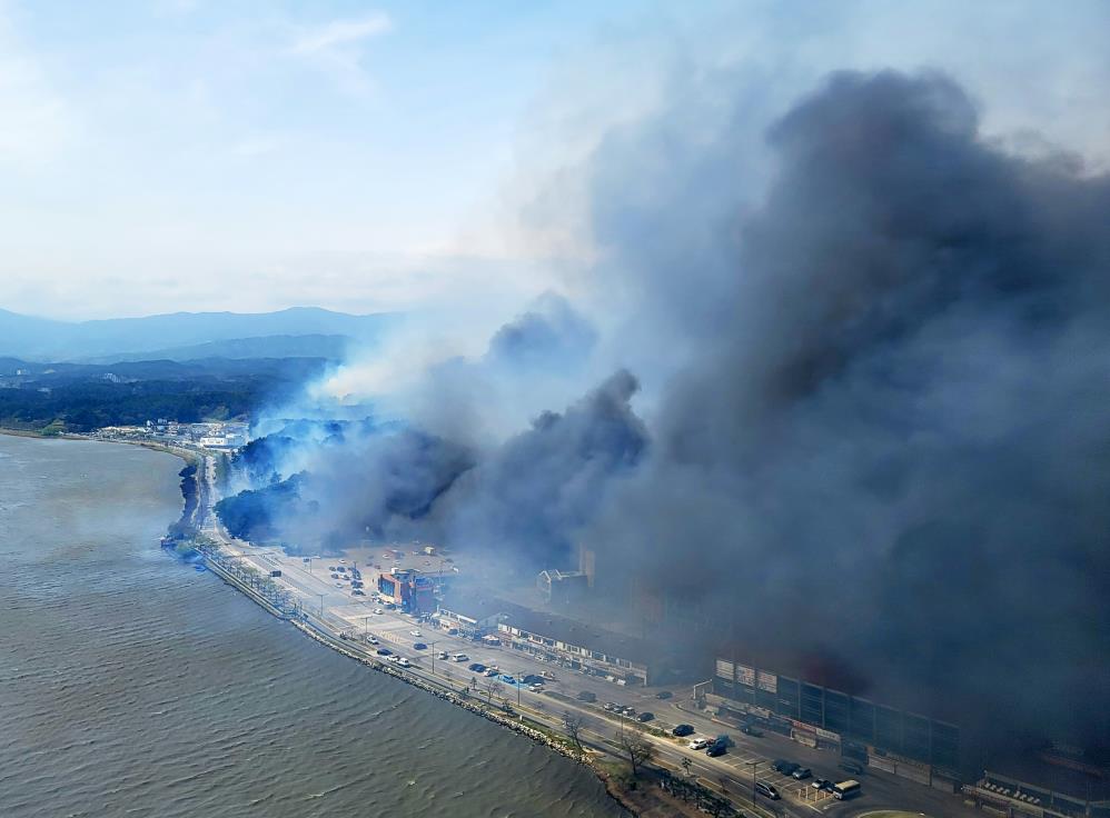 Güney Kore'de orman yangını. Tahliye sayısı 300 oldu