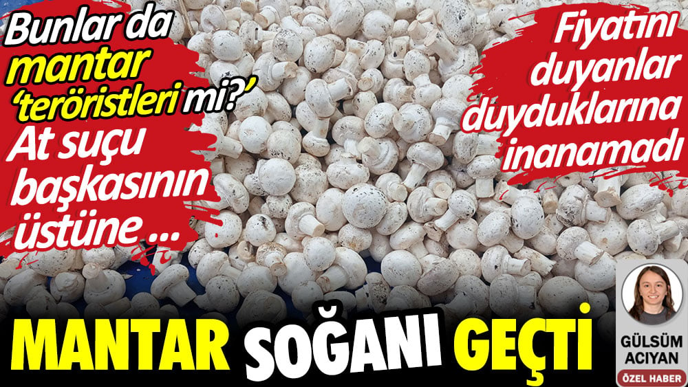 Mantar soğanı geçti. Fiyatını duyanlar duyduklarına inanamadı. Bunlar da mantar ‘teröristleri mi?’