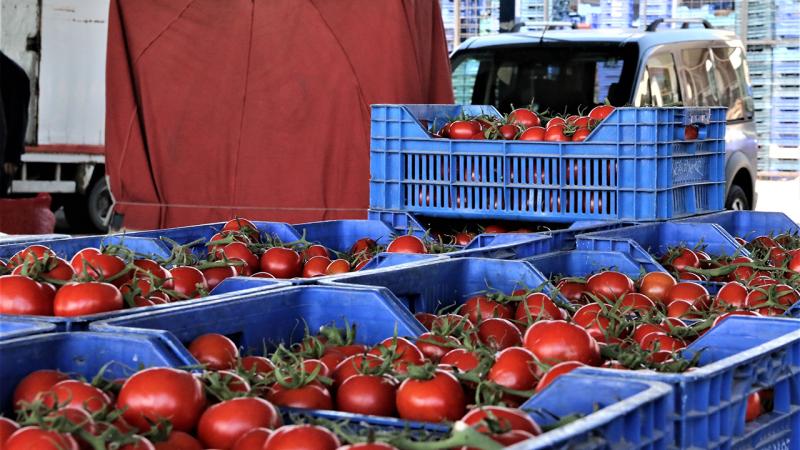 Firmaya 77 bin liralık domates cezası