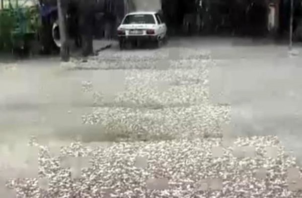 İzmir'de dolu yağışı etkili oldu
