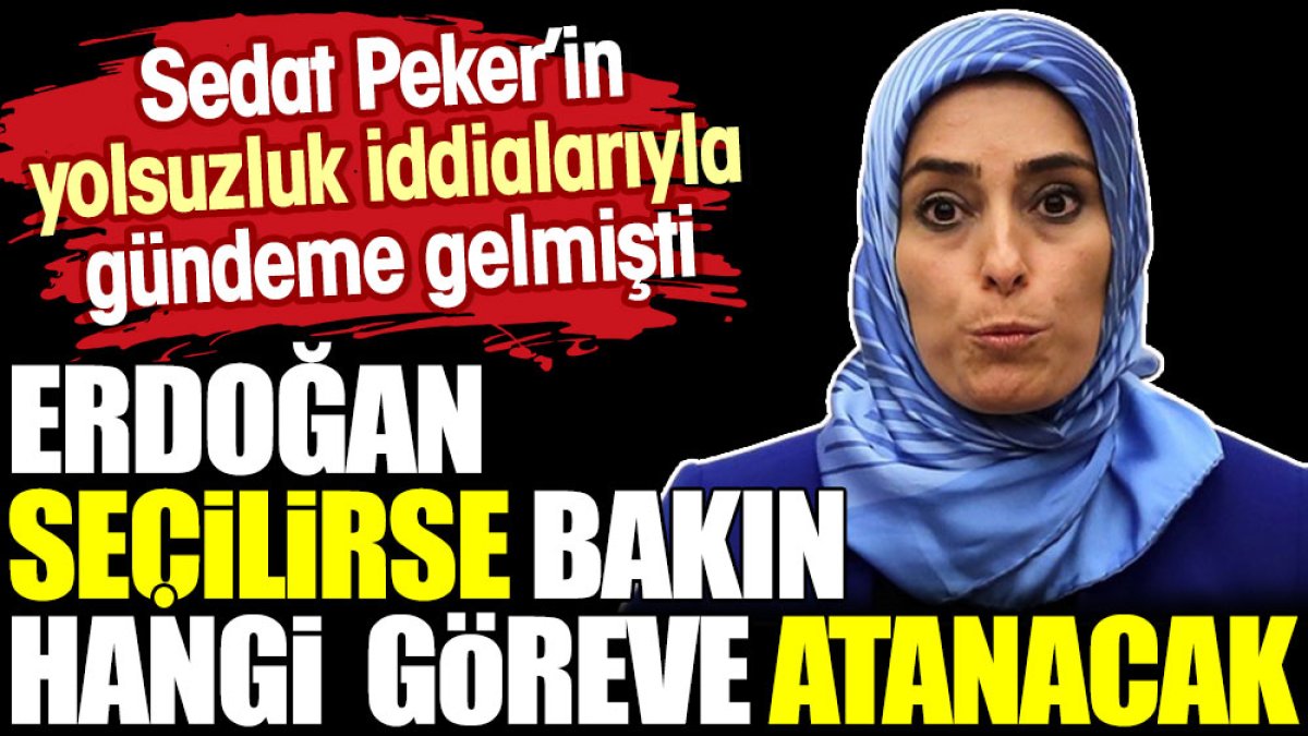 Erdoğan seçilirse Taşkesenlioğlu bakın hangi göreve atanacak. Sedat Peker'in yolsuzluk iddialarıyla gündeme gelmişti