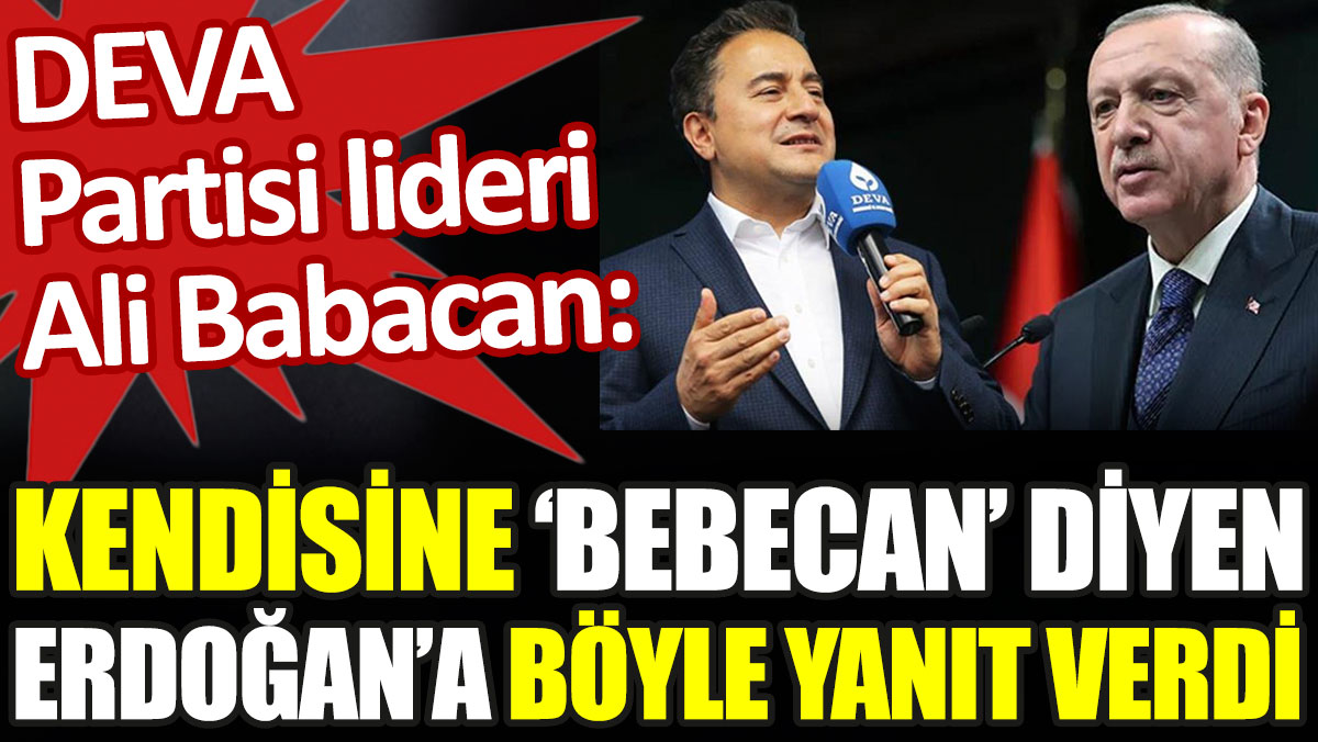 Ali Babacan, kendisine Bebecan diyen Erdoğan'a böyle yanıt verdi