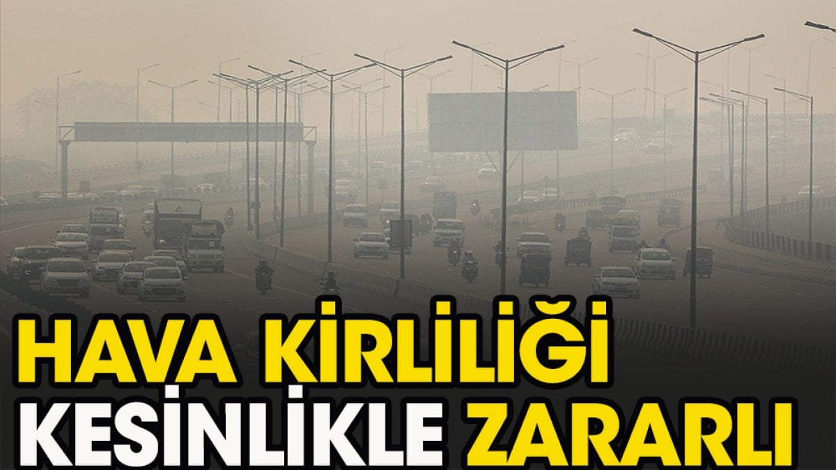 Yeni araştırma: Hava kirliliği ‘kesinlikle’ zarar veriyor