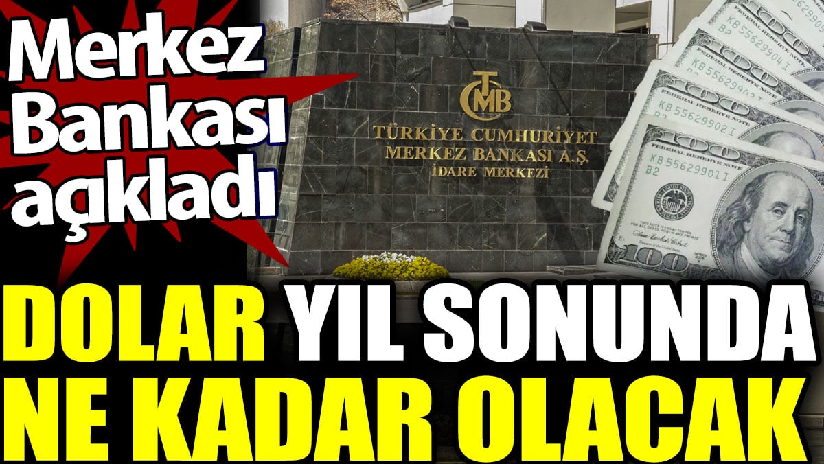 Dolar yıl sonunda ne kadar olacak. Merkez Bankası açıkladı