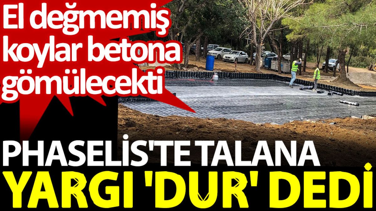 Phaselis'te talana yargı 'dur' dedi. El değmemiş koylar betona gömülecekti