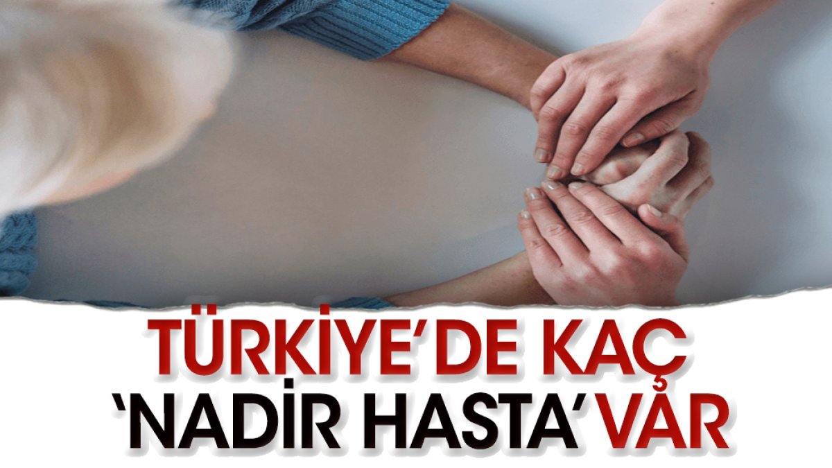 Türkiye'de kaç ‘Nadir Hasta’ var?