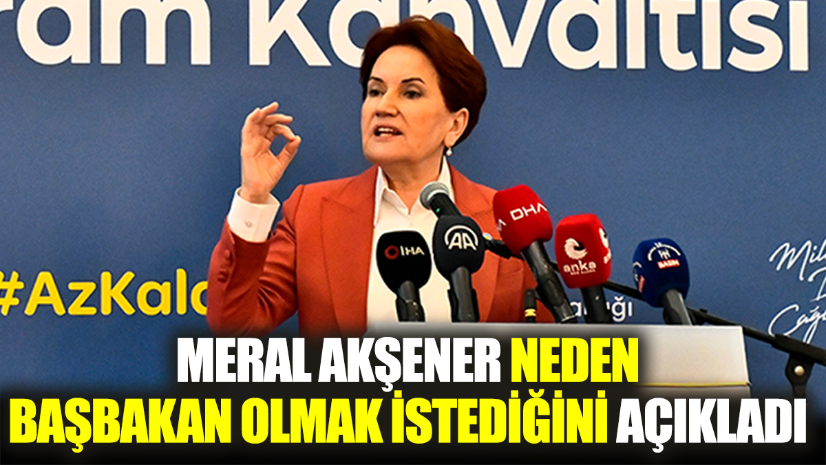 Meral Akşener neden başbakan olmak istediğini açıkladı