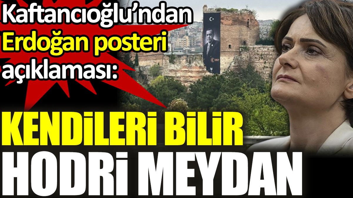 Kaftancıoğlu’ndan Erdoğan posteri açıklaması: Kendileri bilir. Hodri meydan!