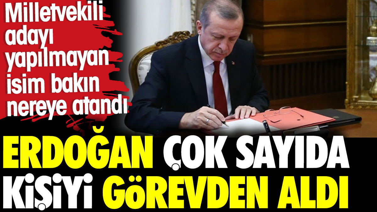 Erdoğan çok sayıda kişiyi görevden aldı. Milletvekili adayı yapılmayan isim bakın nereye atandı