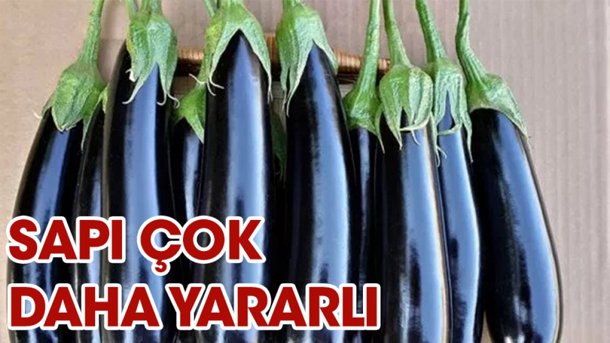 Patlıcanın sapı daha mı yararlı