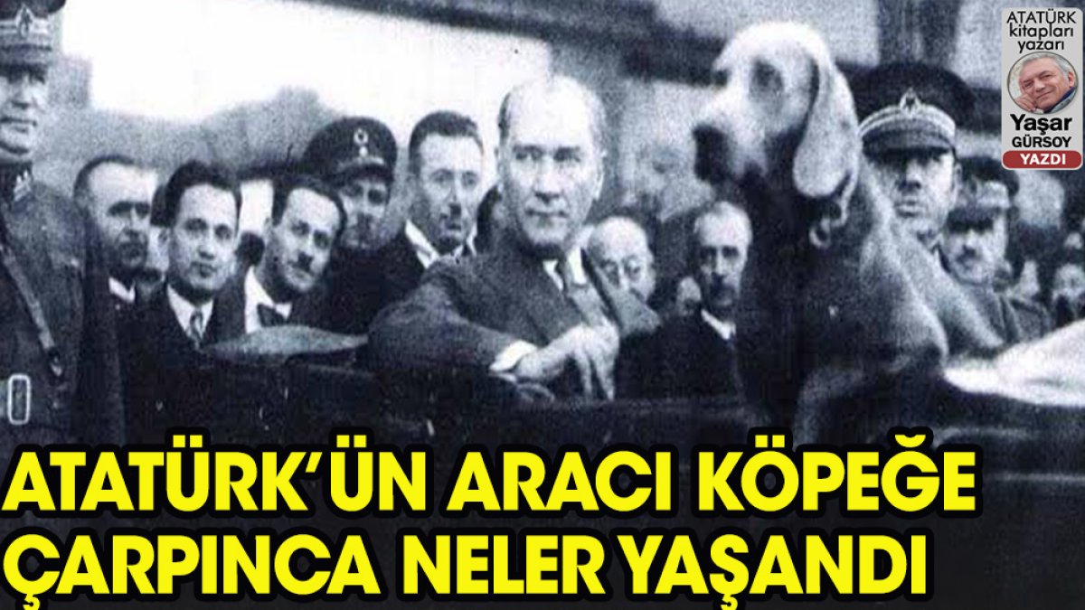 Atatürk’ün otomobilinin çarptığı av köpeği