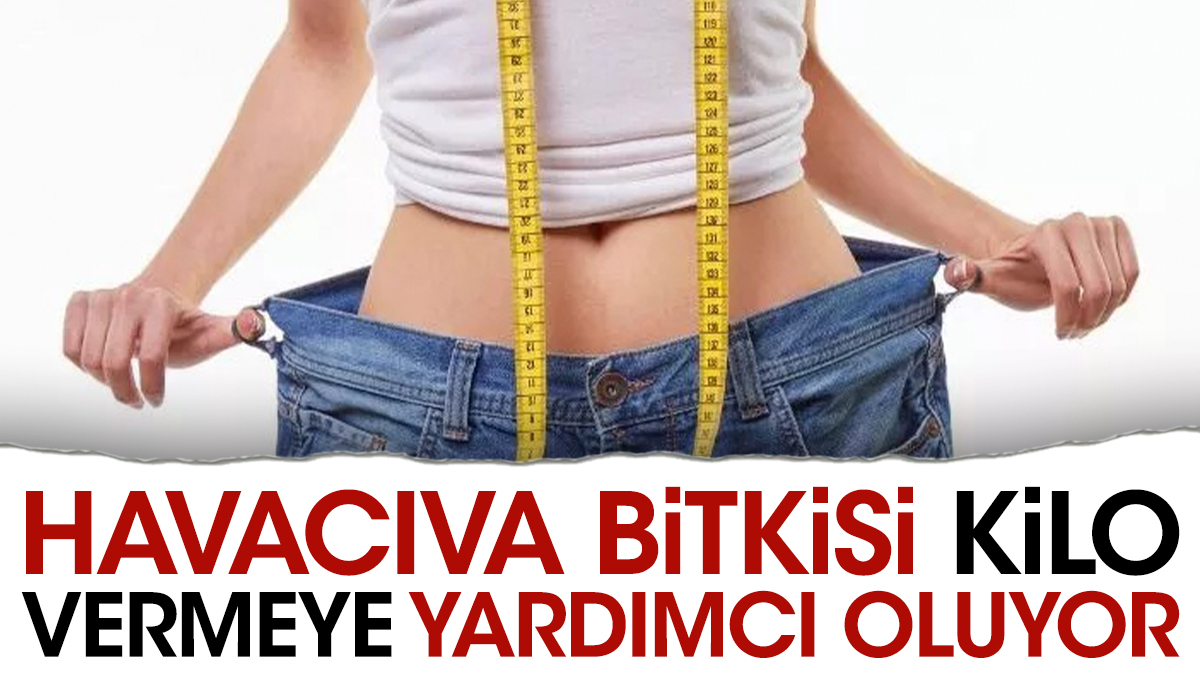 Kilo vermeye yardımcı olan ot