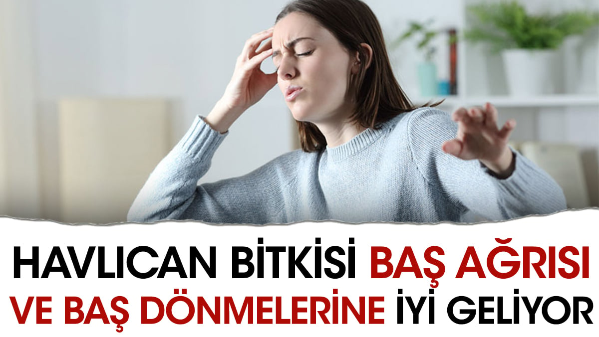 Baş ağrısı ve baş dönmelerine iyi gelen ot