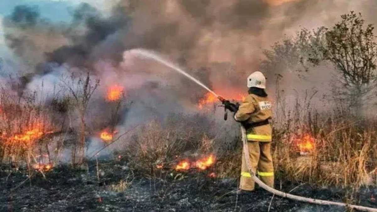 Rusya’da orman yangını 13 eve sıçradı, 500 kişi tahliye edildi