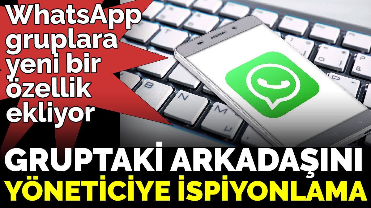 WhatsApp gruplara yeni bir özellik ekliyor. Gruptaki arkadaşını yöneticiye ispiyonlama