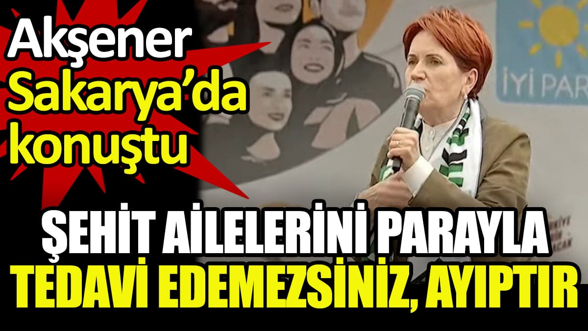 Akşener: Şehit ailelerini payla satın alamazsınız, ayıptır