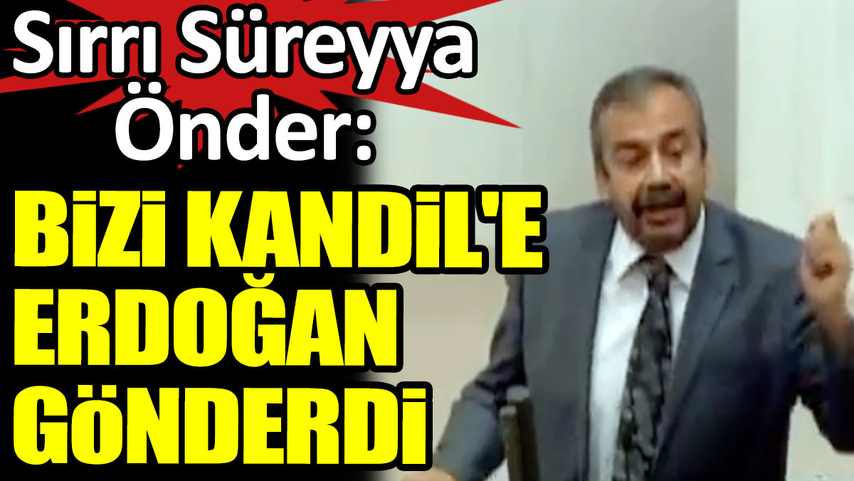 Sırrı Süreyya Önder: Bizi Kandil'e Erdoğan gönderdi