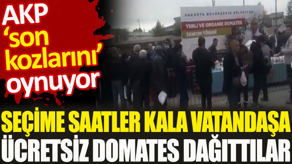 AKP ‘son kozlarını’ oynuyor. Seçime saatler kala vatandaşa ücretsiz domates dağıttılar