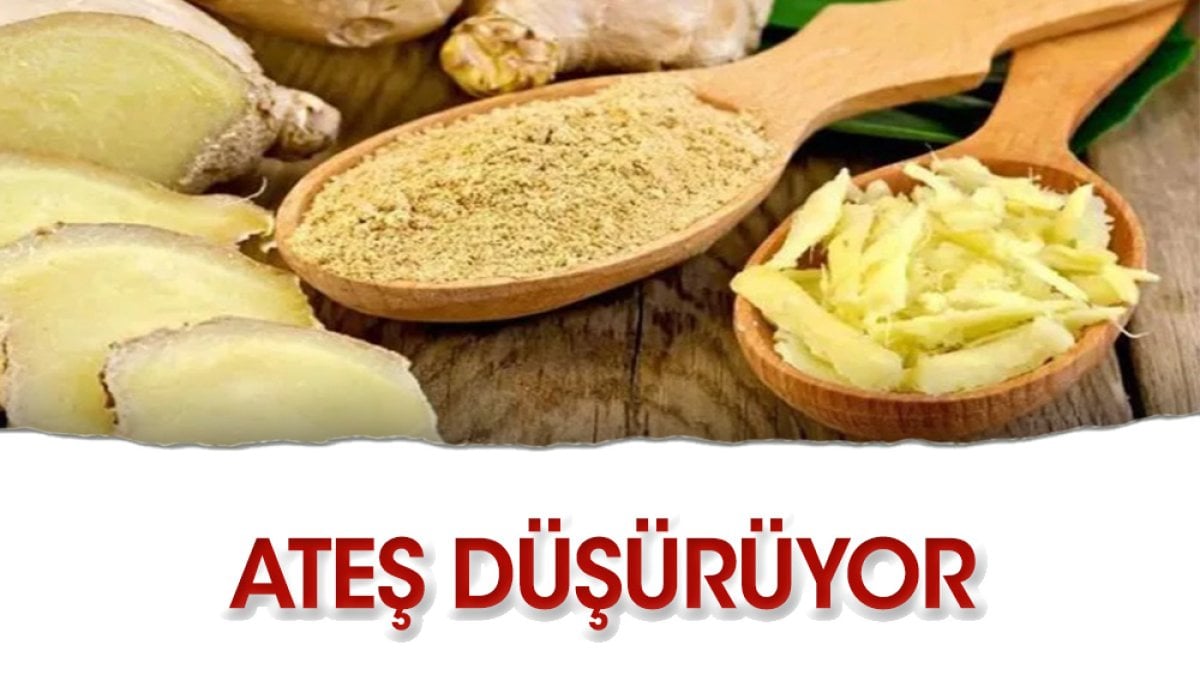 Zencefil ateşli düşürür mü?