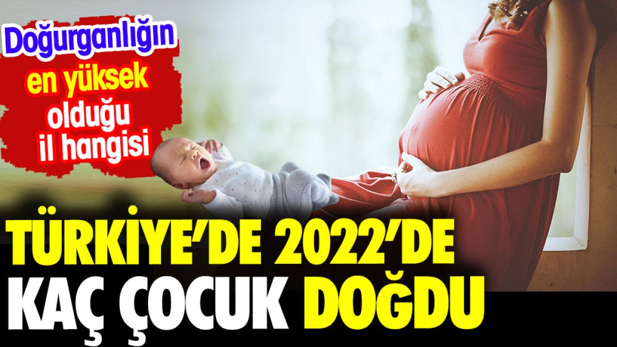 Türkiye'de 2002'de kaç çocuk doğdu. Doğurganlığın en yüksek olduğu il hangisi.