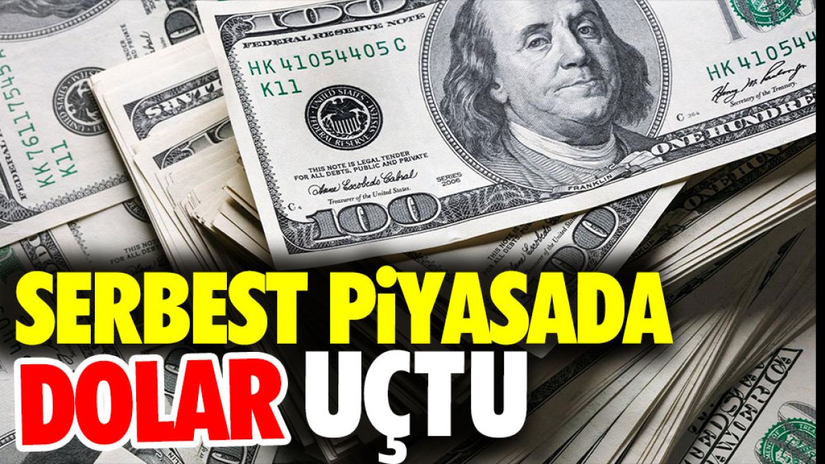 Serbest Piyasada Dolar U tu