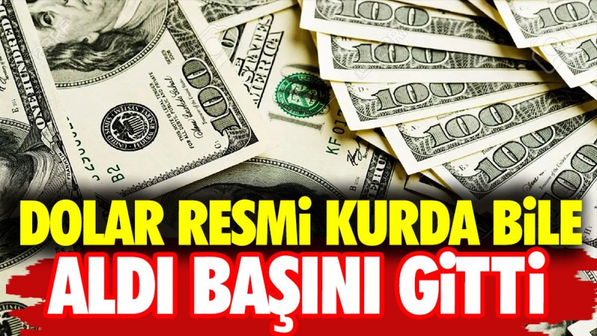 Resmi kurda bile dolar aldı başını gitti