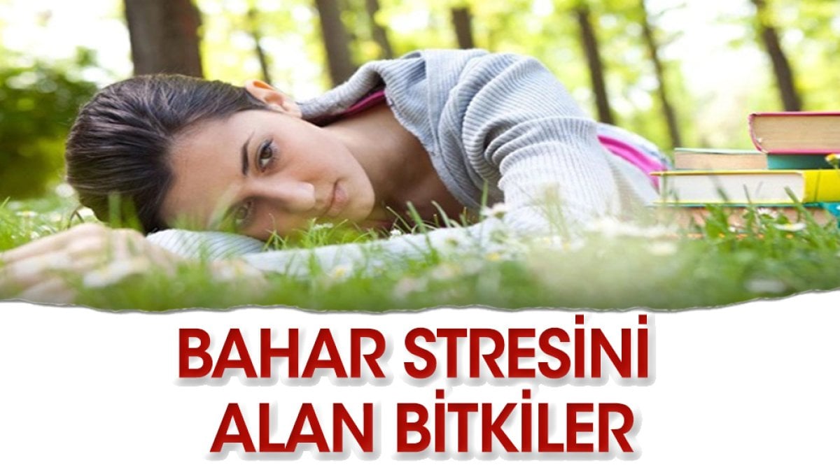 Bahar stresini alan bitkiler