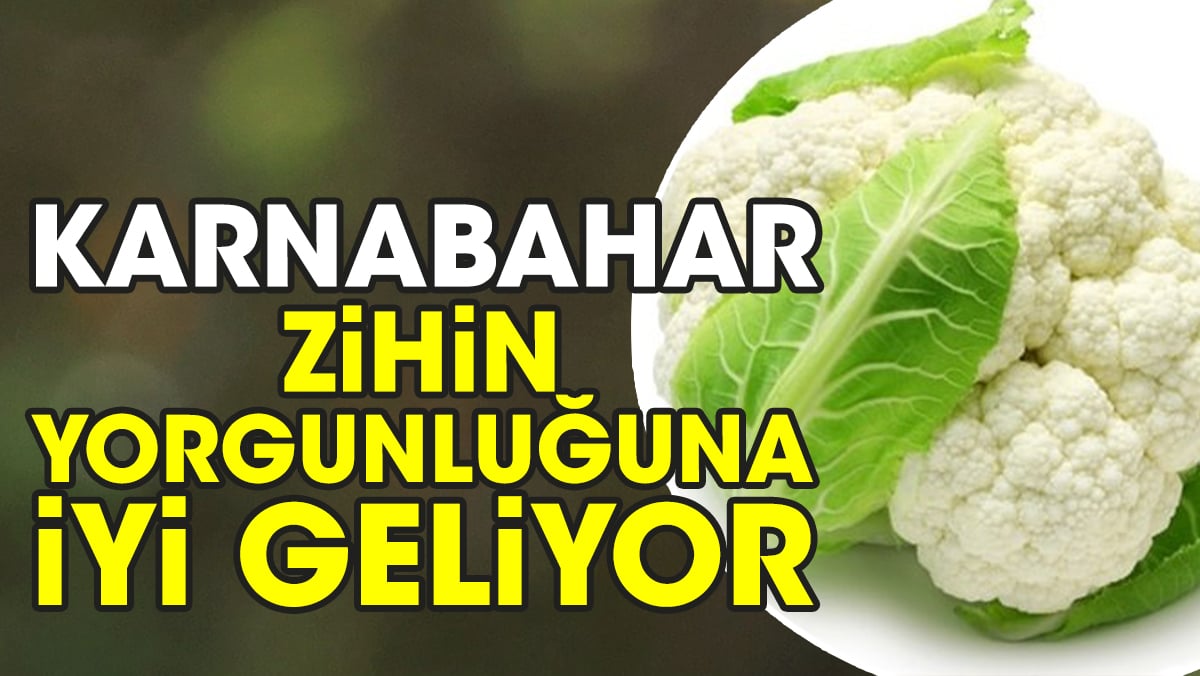 Zihin yorgunluğuna iyi gelen ot