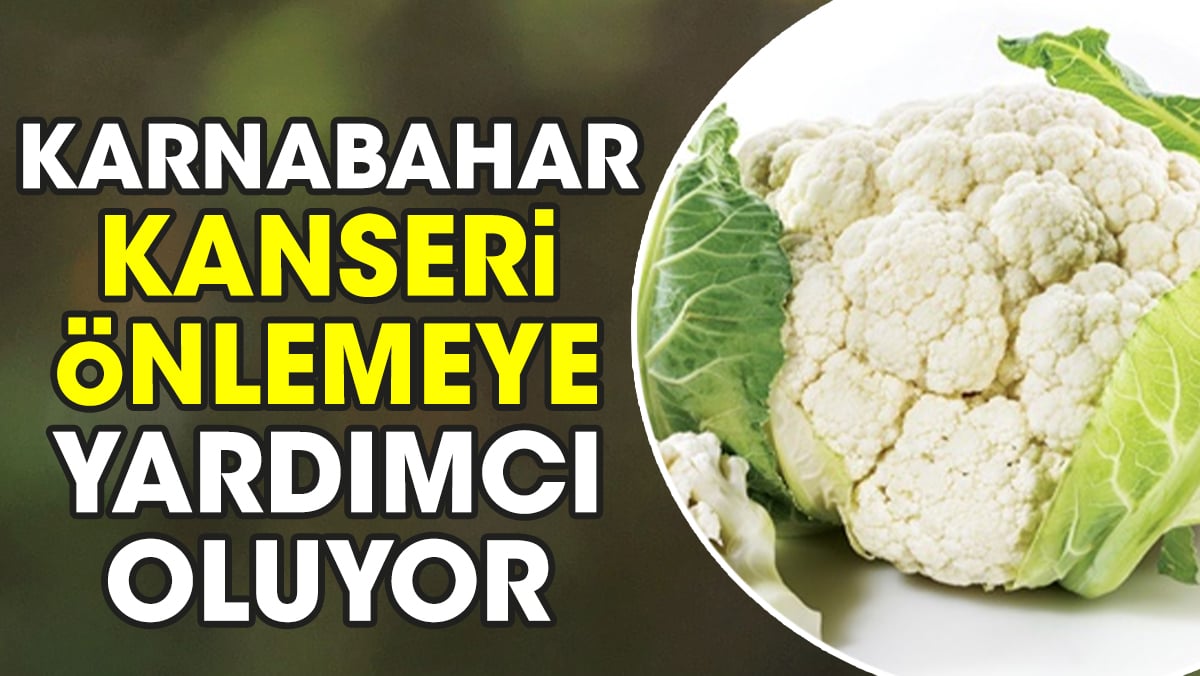 Kanseri önlemeye yardımcı olan ot