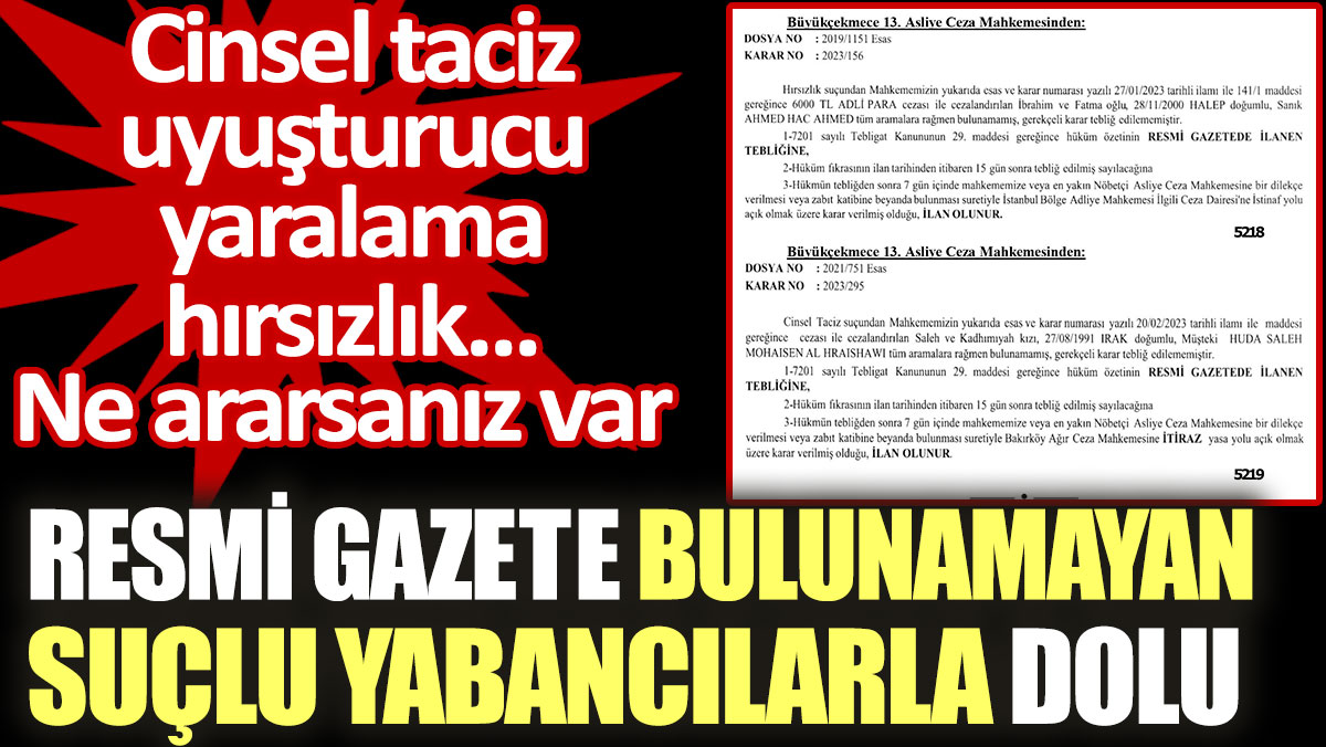 Resmi Gazete bulunamayan suçlu yabancılarla dolu. Cinsel taciz uyuşturucu yaralama hırsızlık. Ne ararsanız var