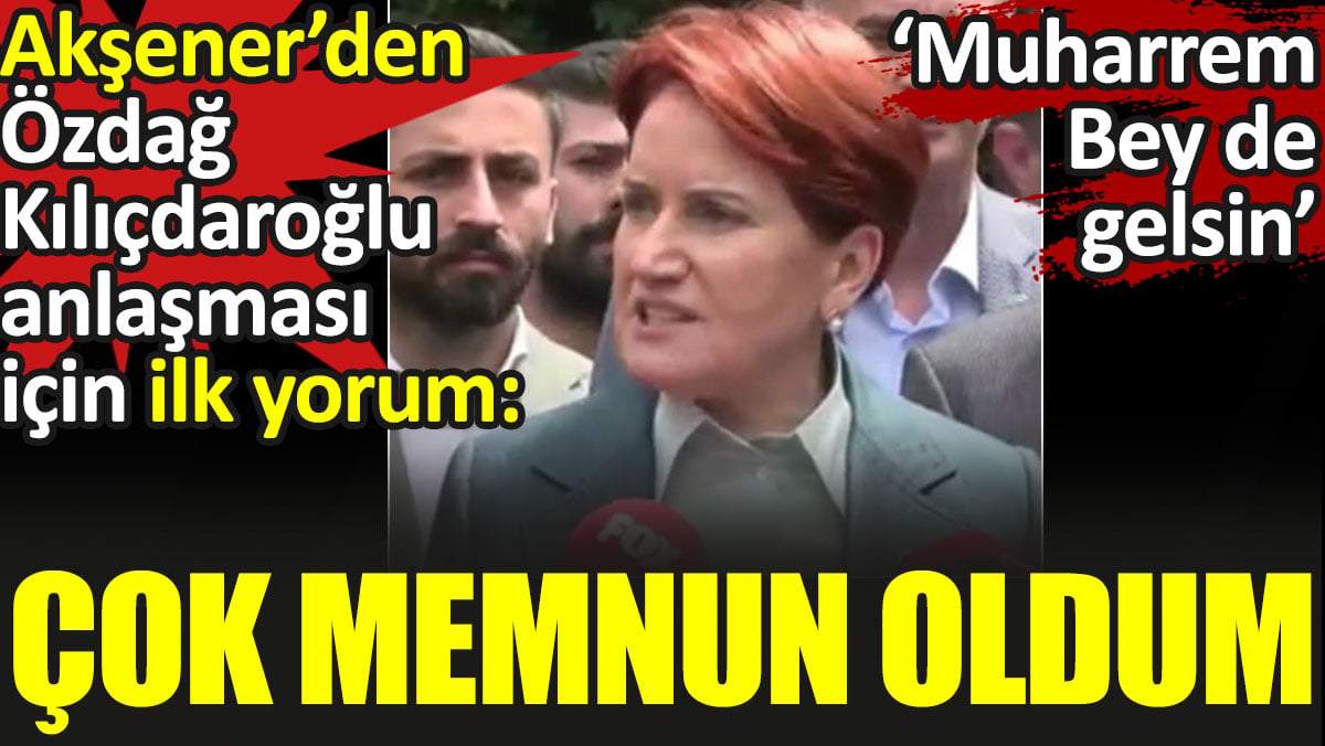 Akşener'den Özdağ-Kılıçdaroğlu anlaşması için ilk yorum: Çok memnun oldum