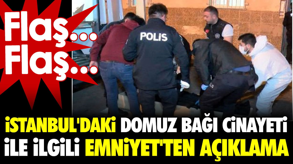 İstanbul'daki domuz bağı cinayeti ile ilgili Emniyet'ten açıklama